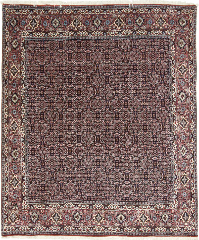 Persian Rug Bidjar 7'11"x6'9" 7'11"x6'9", Persian Rug Knotted by hand