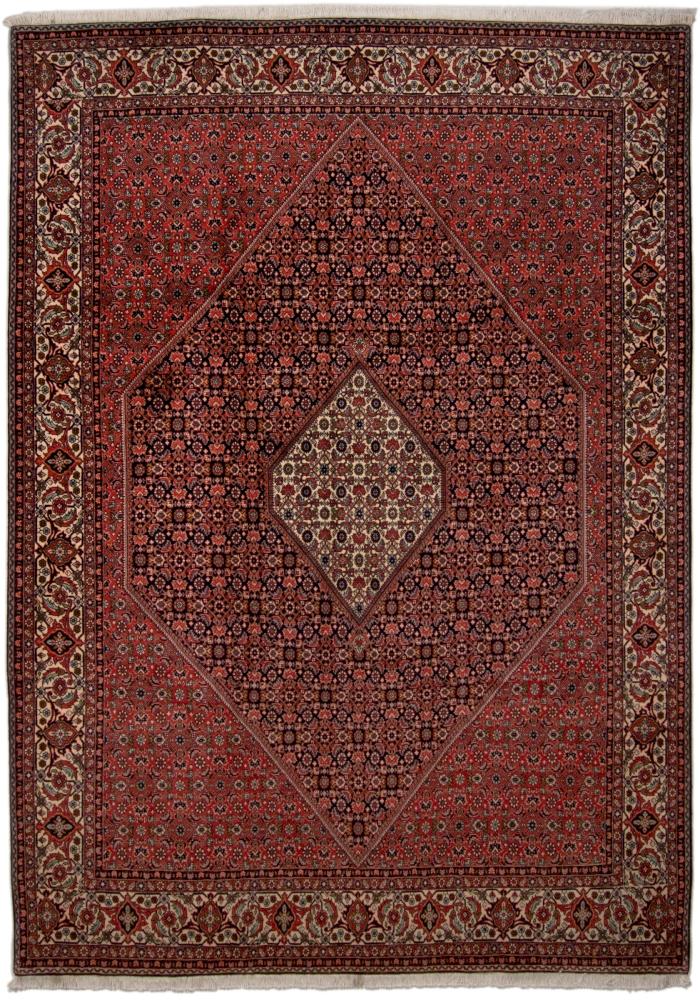 Persian Rug Bidjar Tekab 11'5"x8'2" 11'5"x8'2", Persian Rug Knotted by hand