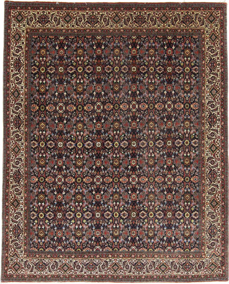 Persian Rug Bidjar 249x204 249x204, Persian Rug Knotted by hand