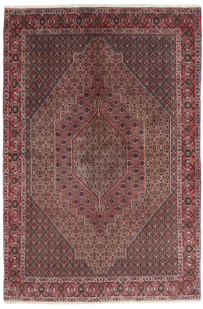 Persian Rug Senneh 9'7"x6'6" 9'7"x6'6", Persian Rug Knotted by hand