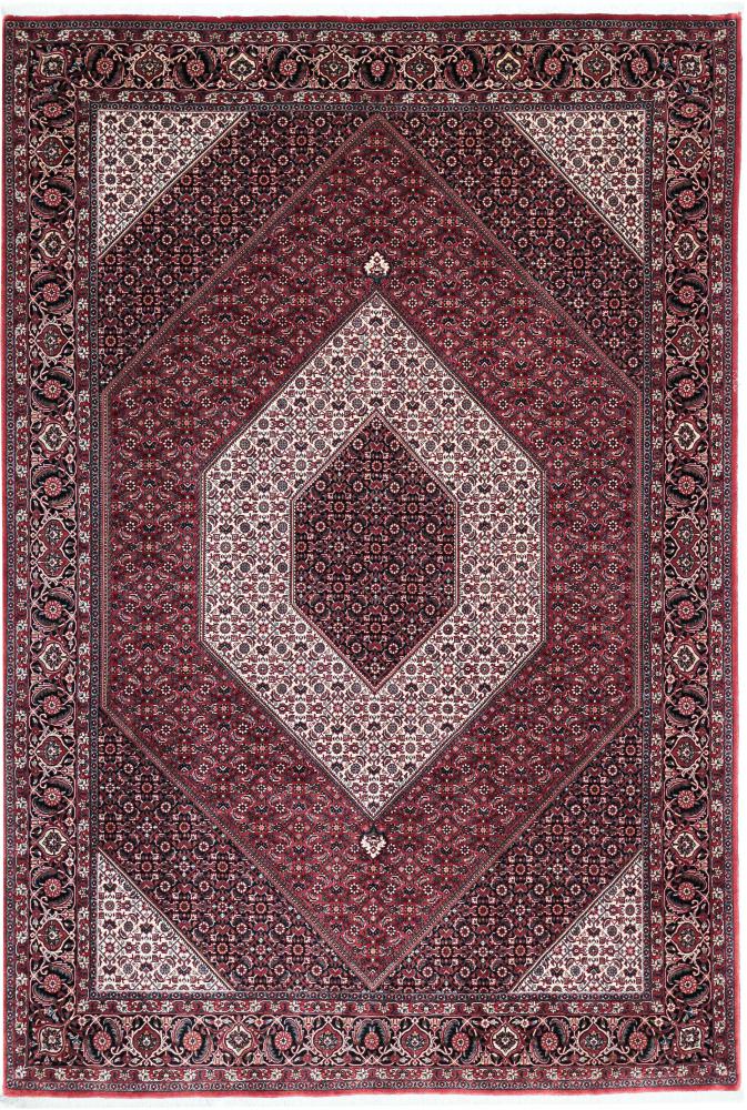 Persian Rug Bidjar 9'11"x6'9" 9'11"x6'9", Persian Rug Knotted by hand