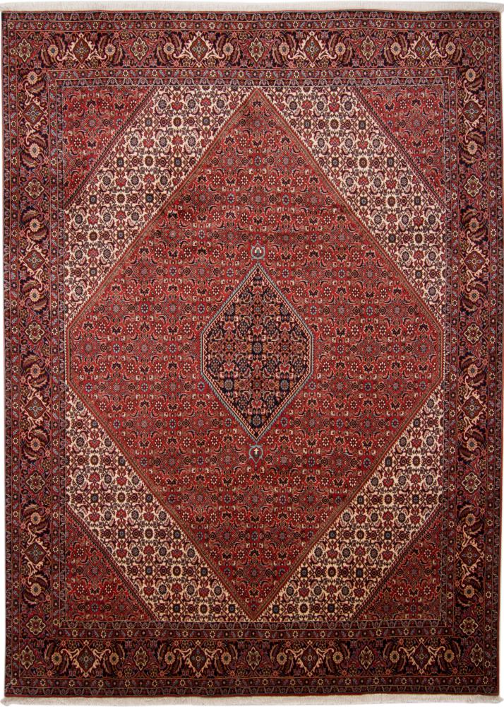 Persian Rug Bidjar Tekab 11'2"x8'3" 11'2"x8'3", Persian Rug Knotted by hand