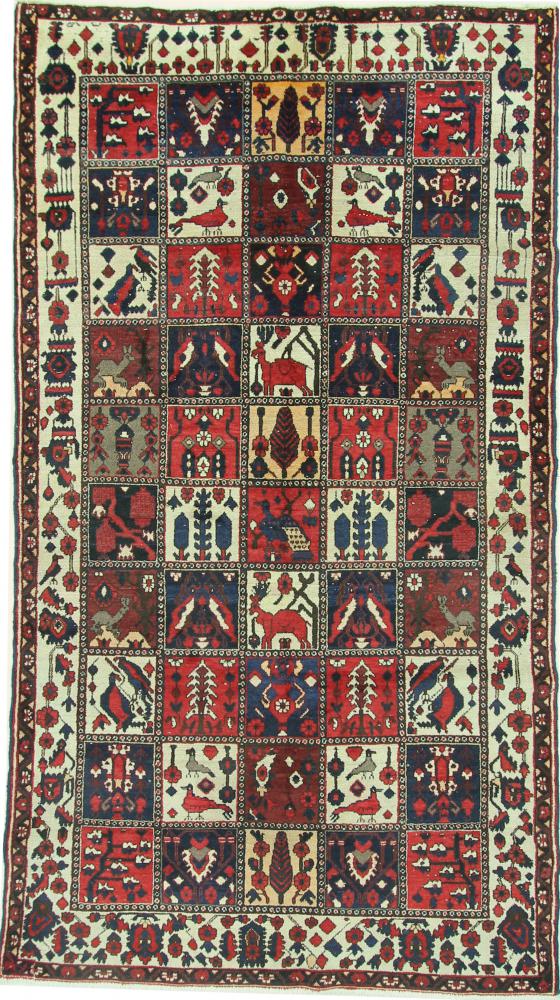  ペルシャ絨毯 バクティアリ 9'7"x5'6" 9'7"x5'6",  ペルシャ絨毯 手織り
