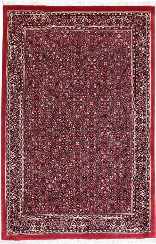 Tapis persan Bidjar Tekab 173x115 173x115, Tapis persan Noué à la main