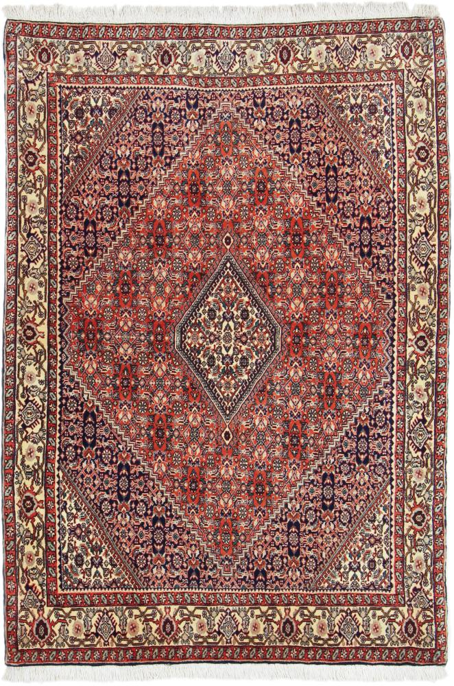 Persian Rug Bidjar 5'6"x3'8" 5'6"x3'8", Persian Rug Knotted by hand