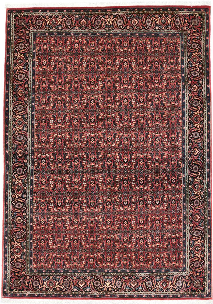 Persian Rug Bidjar 6'8"x4'9" 6'8"x4'9", Persian Rug Knotted by hand