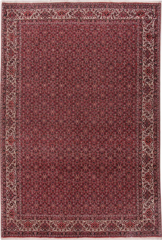 Persian Rug Bidjar 9'11"x6'7" 9'11"x6'7", Persian Rug Knotted by hand