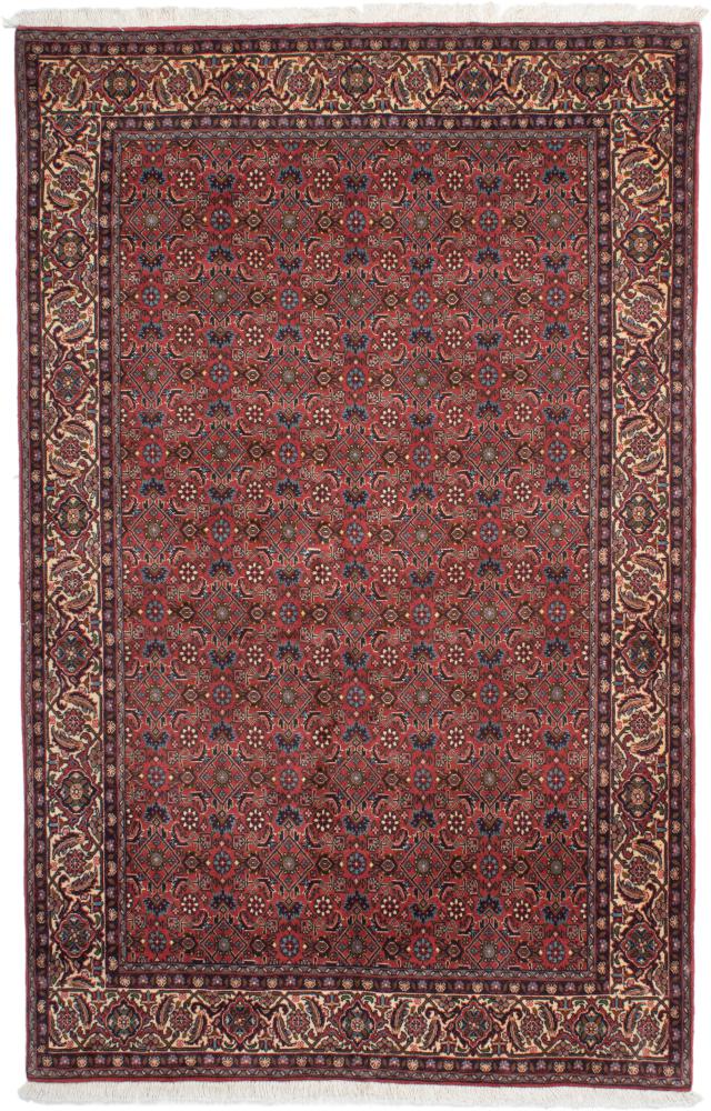 Persian Rug Bidjar Z 219x137 219x137, Persian Rug Knotted by hand