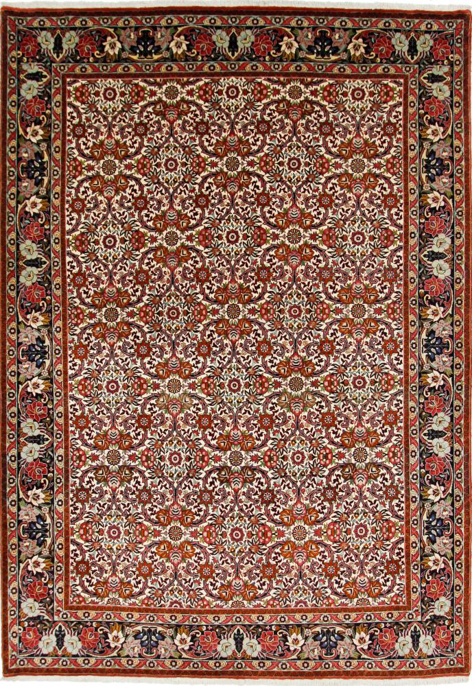 Perzisch tapijt Bidjar 9'8"x6'8" 9'8"x6'8", Perzisch tapijt Handgeknoopte