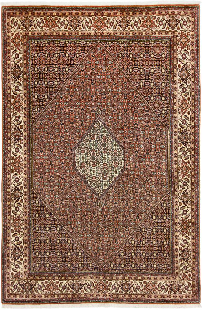 Persian Rug Bidjar 9'11"x6'7" 9'11"x6'7", Persian Rug Knotted by hand