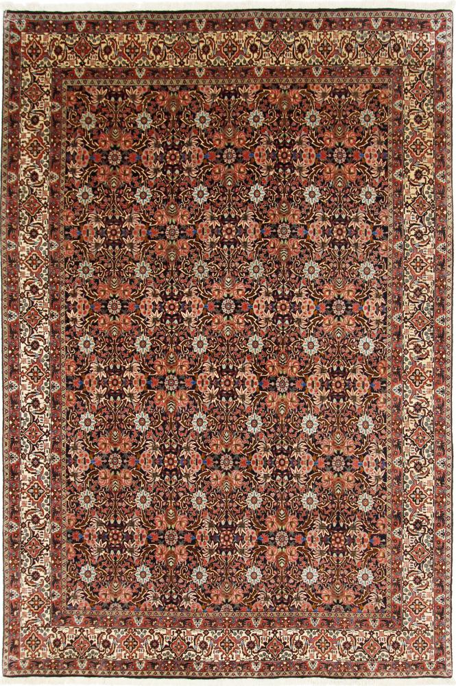 Perzisch tapijt Bidjar 9'10"x6'7" 9'10"x6'7", Perzisch tapijt Handgeknoopte