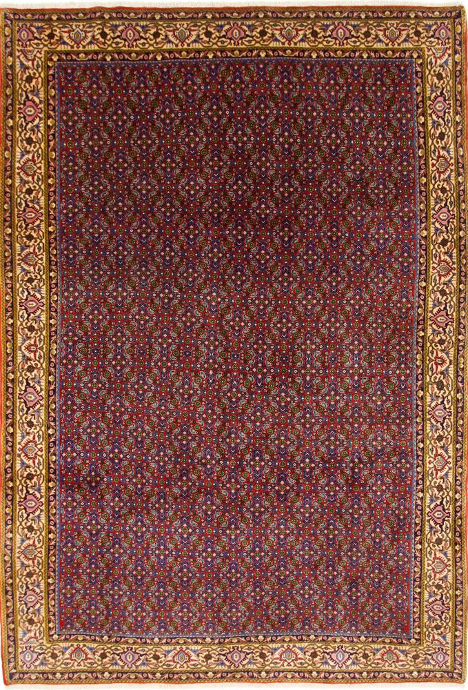 Persian Rug Bidjar 314x215 314x215, Persian Rug Knotted by hand