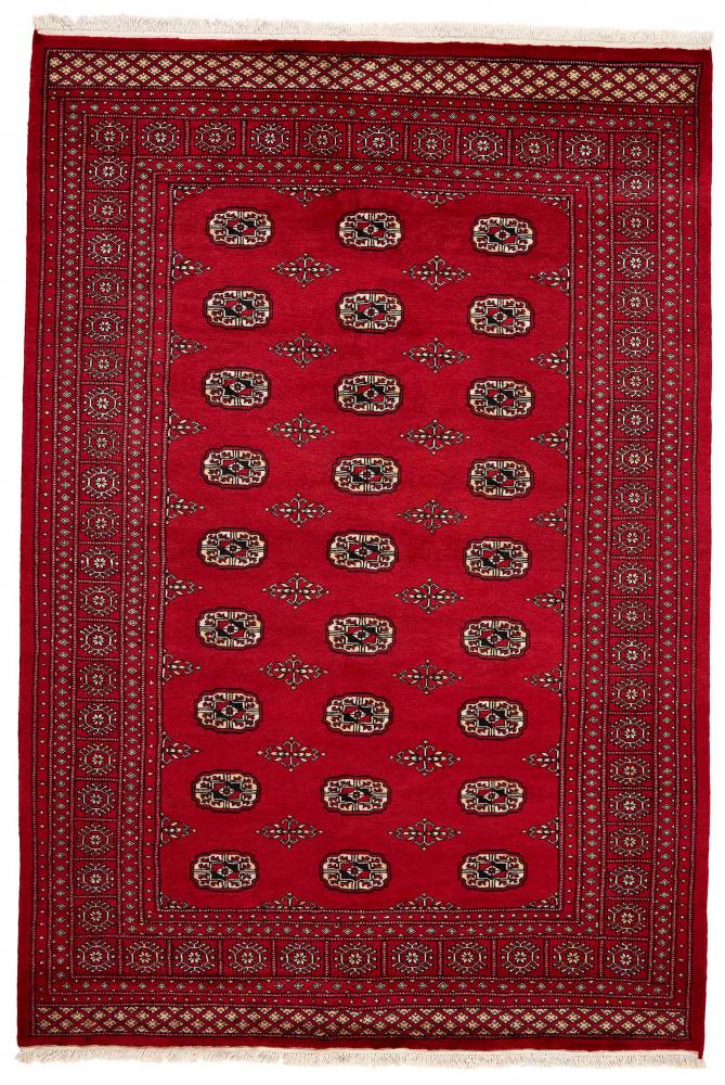 Pakistani rug Pakistan Buchara 2ply 248x172 248x172, Persian Rug Knotted by hand
