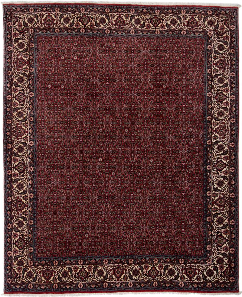 Persian Rug Bidjar 250x203 250x203, Persian Rug Knotted by hand