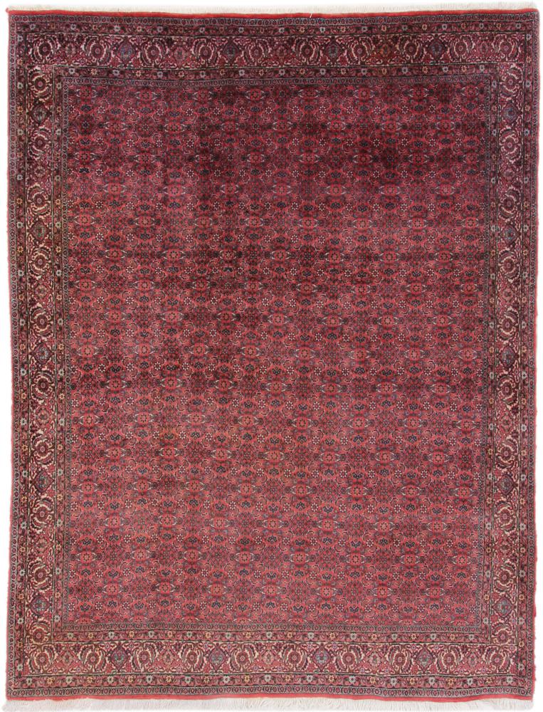 Tapis persan Bidjar 253x203 253x203, Tapis persan Noué à la main