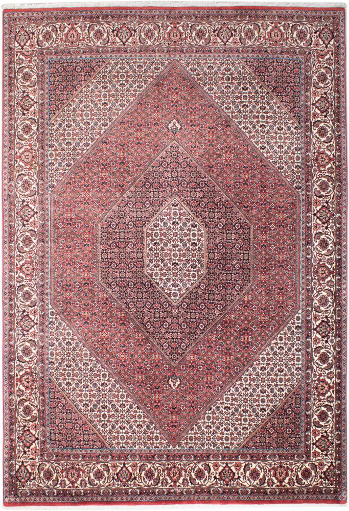 Persian Rug Bidjar 9'8"x6'8" 9'8"x6'8", Persian Rug Knotted by hand