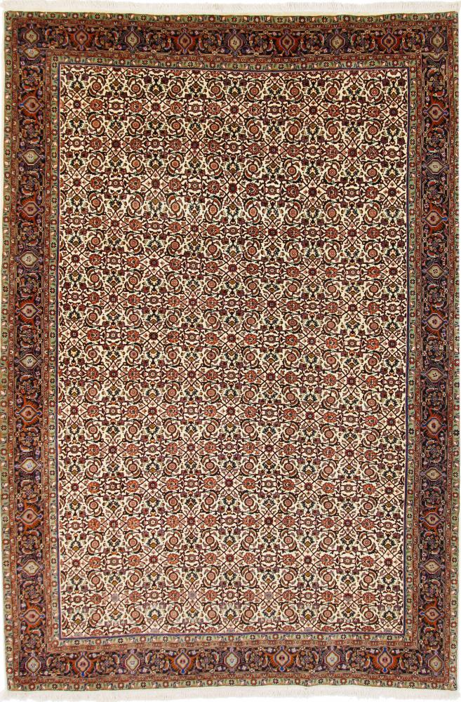 Persialainen matto Bidjar 10'4"x6'9" 10'4"x6'9", Persialainen matto Solmittu käsin