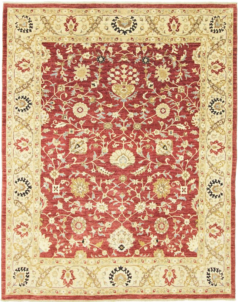 Pakistani rug Ziegler Farahan 10'4"x8'3" 10'4"x8'3", Persian Rug Knotted by hand