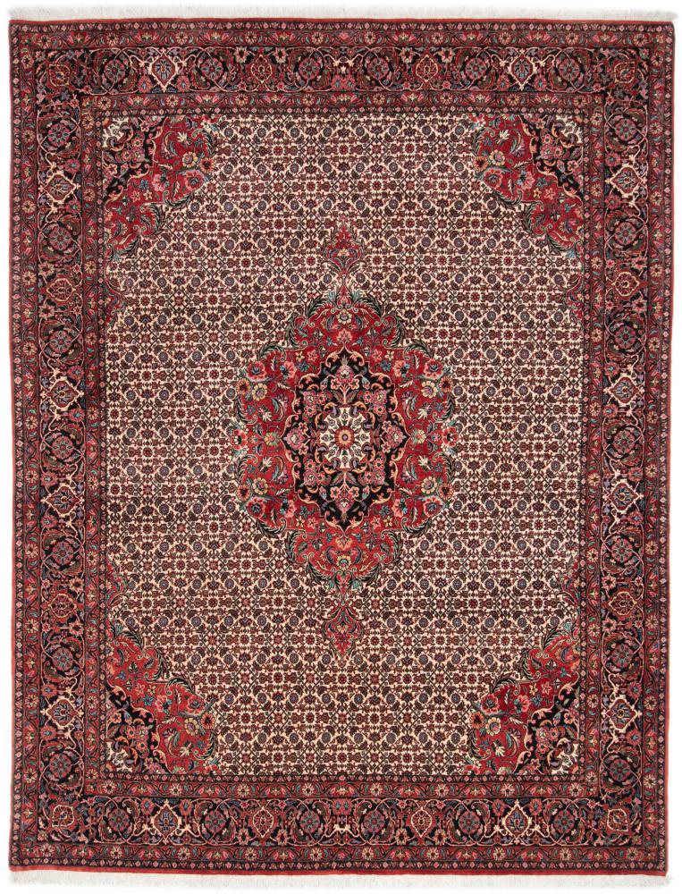 Tappeto persiano Bidjar 259x201 259x201, Tappeto persiano Annodato a mano