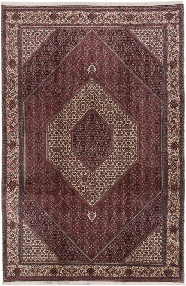 Persian Rug Bidjar 10'3"x6'10" 10'3"x6'10", Persian Rug Knotted by hand