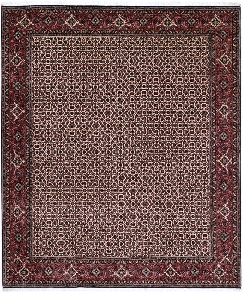 Persialainen matto Bidjar Tekab 8'3"x6'10" 8'3"x6'10", Persialainen matto Solmittu käsin