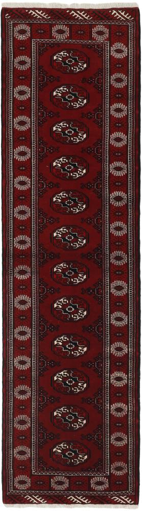 Περσικό χαλί Turkaman 9'8"x2'9" 9'8"x2'9", Περσικό χαλί Οι κόμποι έγιναν με το χέρι