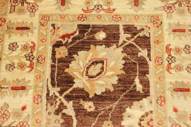 Ziegler Farahan - 6