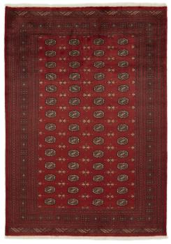 Pakistan Buchara 3ply 286x200