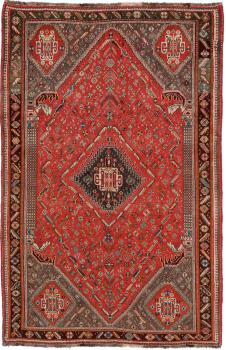 Shiraz 237x154