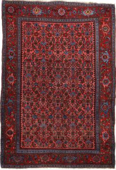 Bidjar Antique 207x144