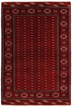 Turkmeński 286x197