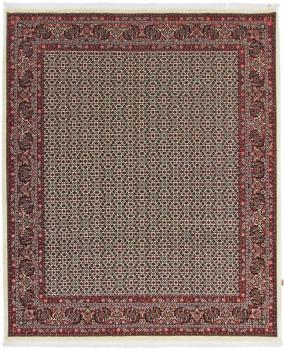 Bidjar Garoos 305x256