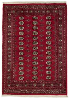 Pakistan Buchara 2ply 243x168