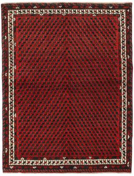 Shiraz 198x151