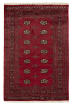 Pakistan Buchara 3ply 197x133