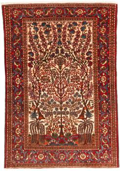 Afshar 198x134