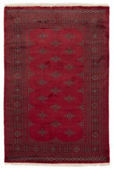 Pakistan Buchara 3ply 202x133