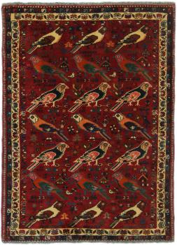 Shiraz 143x105