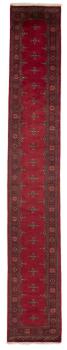 Pakistan Buchara 2ply 508x79