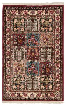 Bakhtiar 155x101