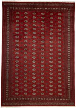 Pakistan Buchara 2ply 422x310