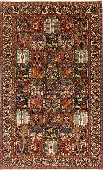 Bakhtiar 257x155