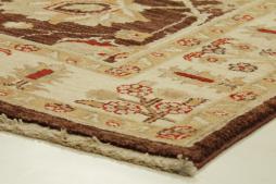 Ziegler Farahan - 3